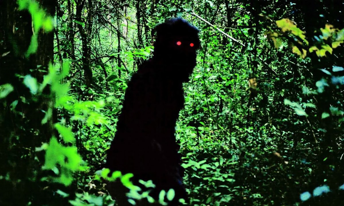 Uncle Boonmee Who Can Recall His Past Lives