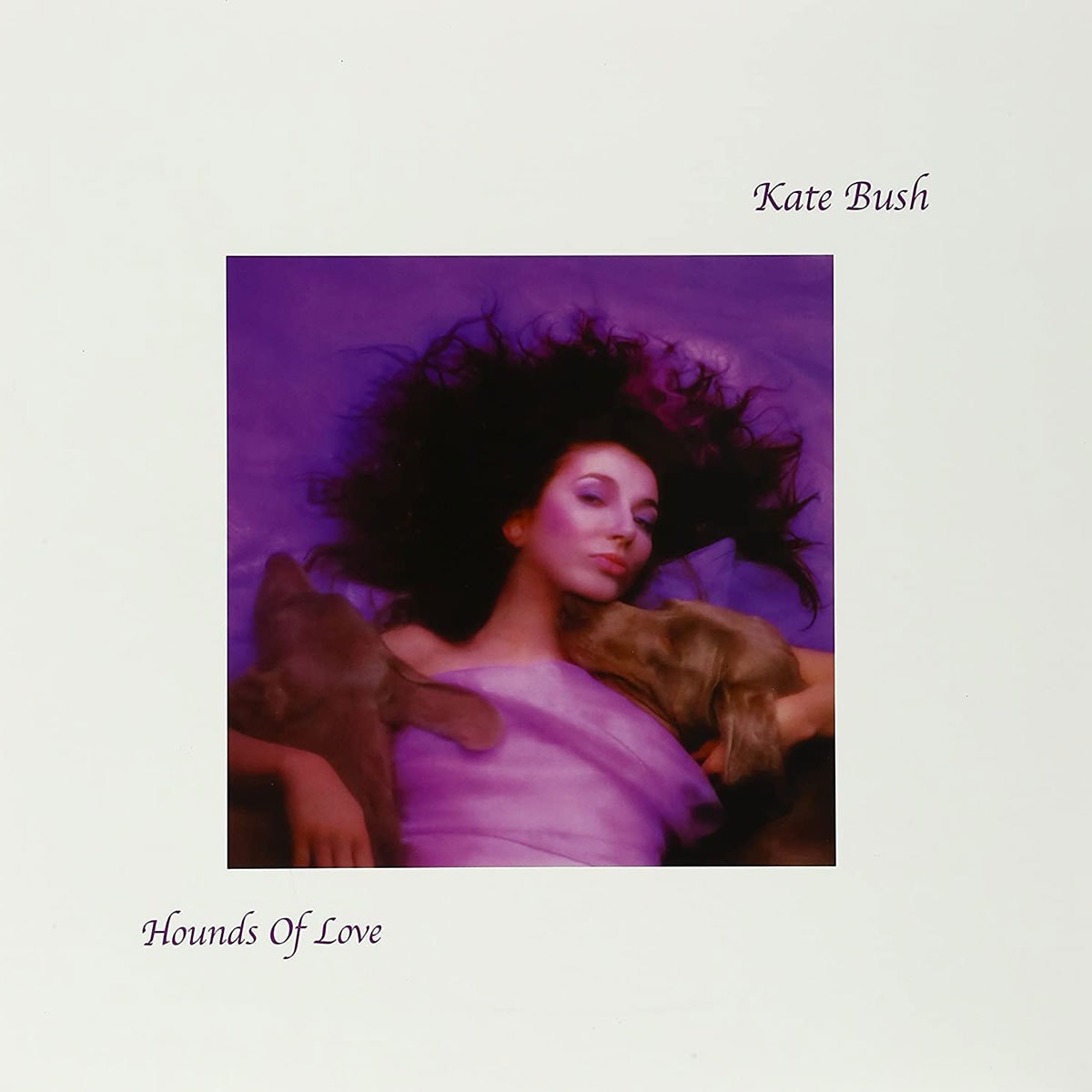 Hounds of Love