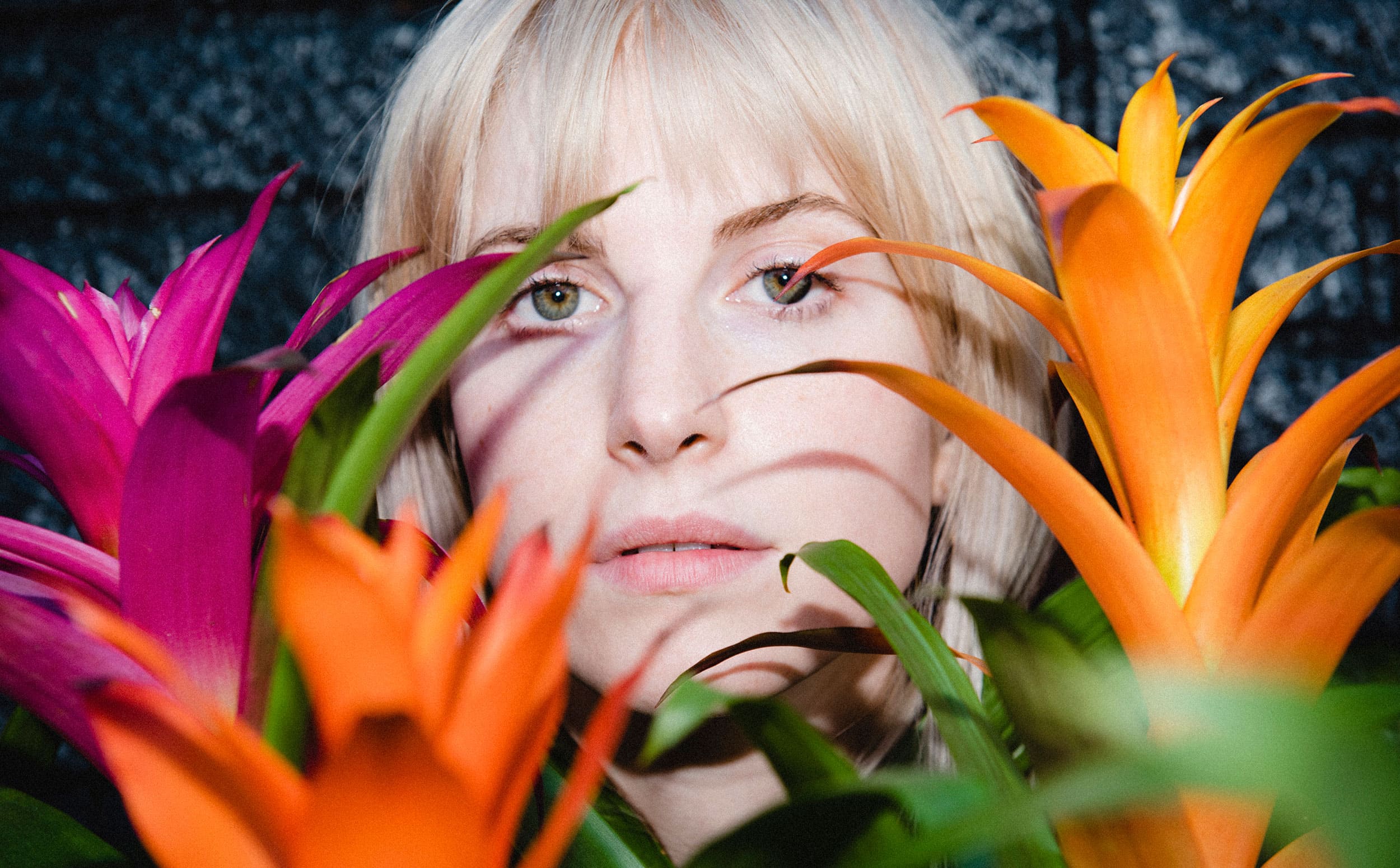 Hayley Williams, Petals for Armor