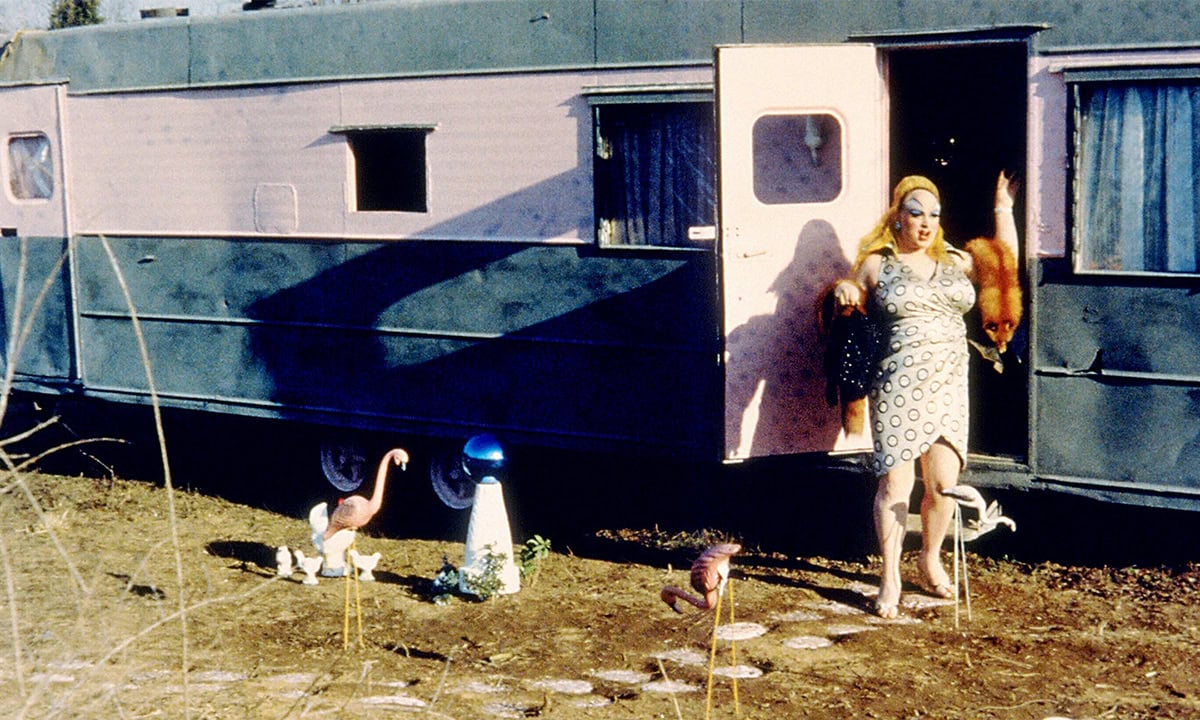 Pink Flamingos
