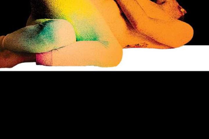 Katharina Volckmer, The Appointment