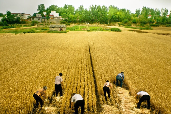 Swimming Out Till the Sea Turns Blue