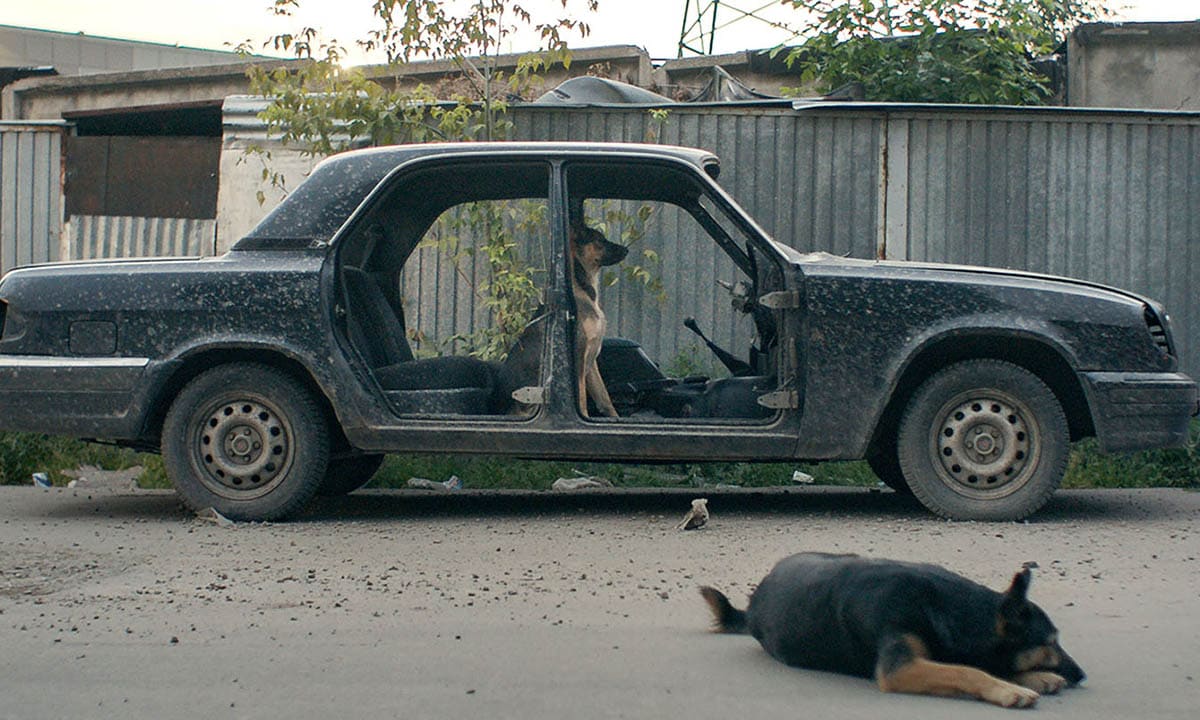 Space Dogs
