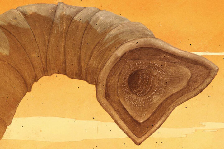 Dune