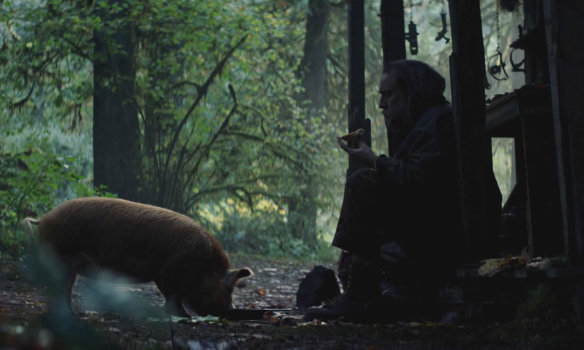 Pig
