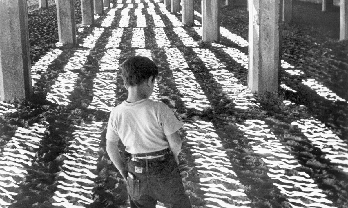 The Collected Films of Morris Engel & Ruth Orkin