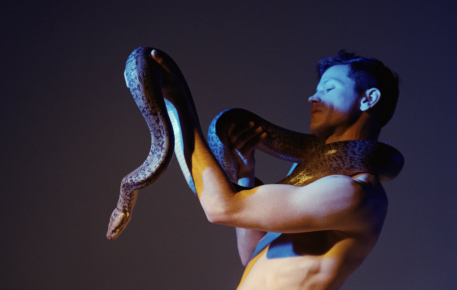 Perfume Genius, Ugly Season