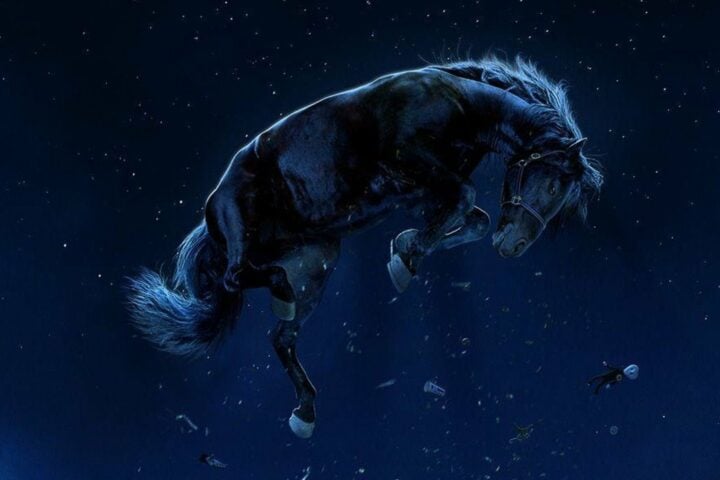 The 25 Best Films of 2022