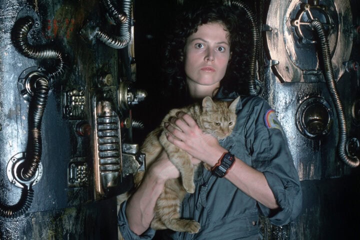 Alien