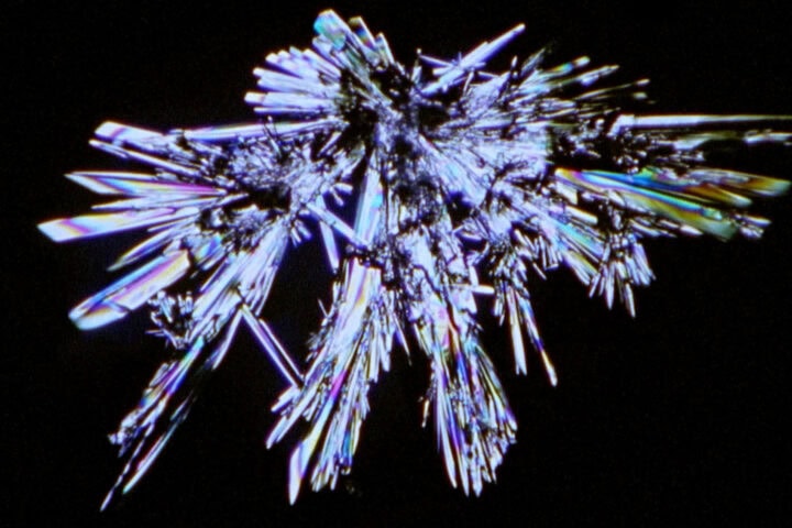 Liminal Spaces: The 2023 Berwick Film & Media Arts Festival