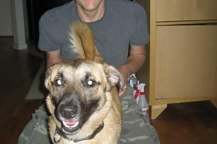 Death Proof: The Life in Andrew Johnston