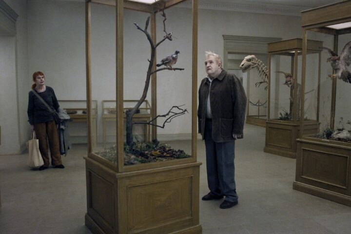 A Pigeon Sat on a Branch Reflecting on Existence