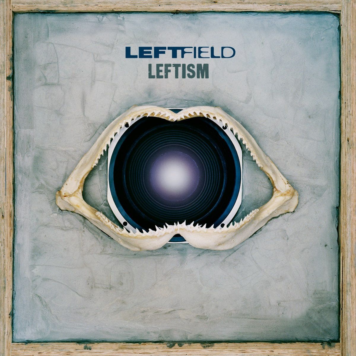 Leftfield, Leftism