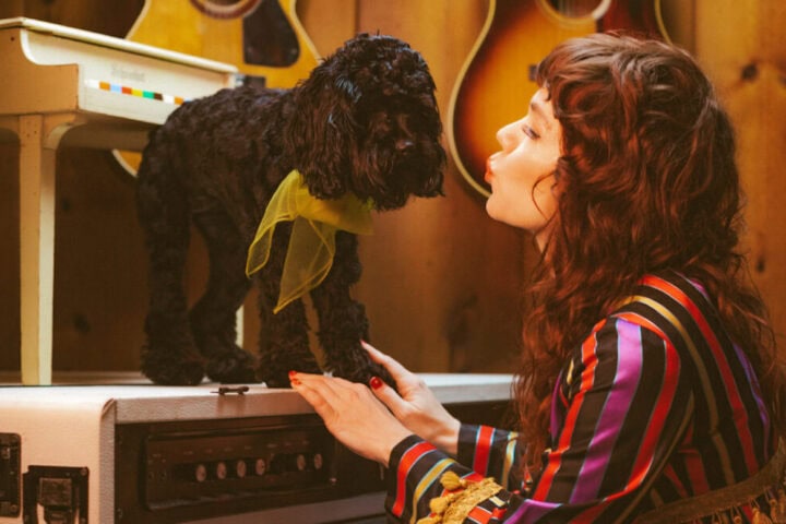 Jenny Lewis, All'Joy