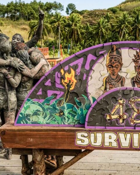 Survivor