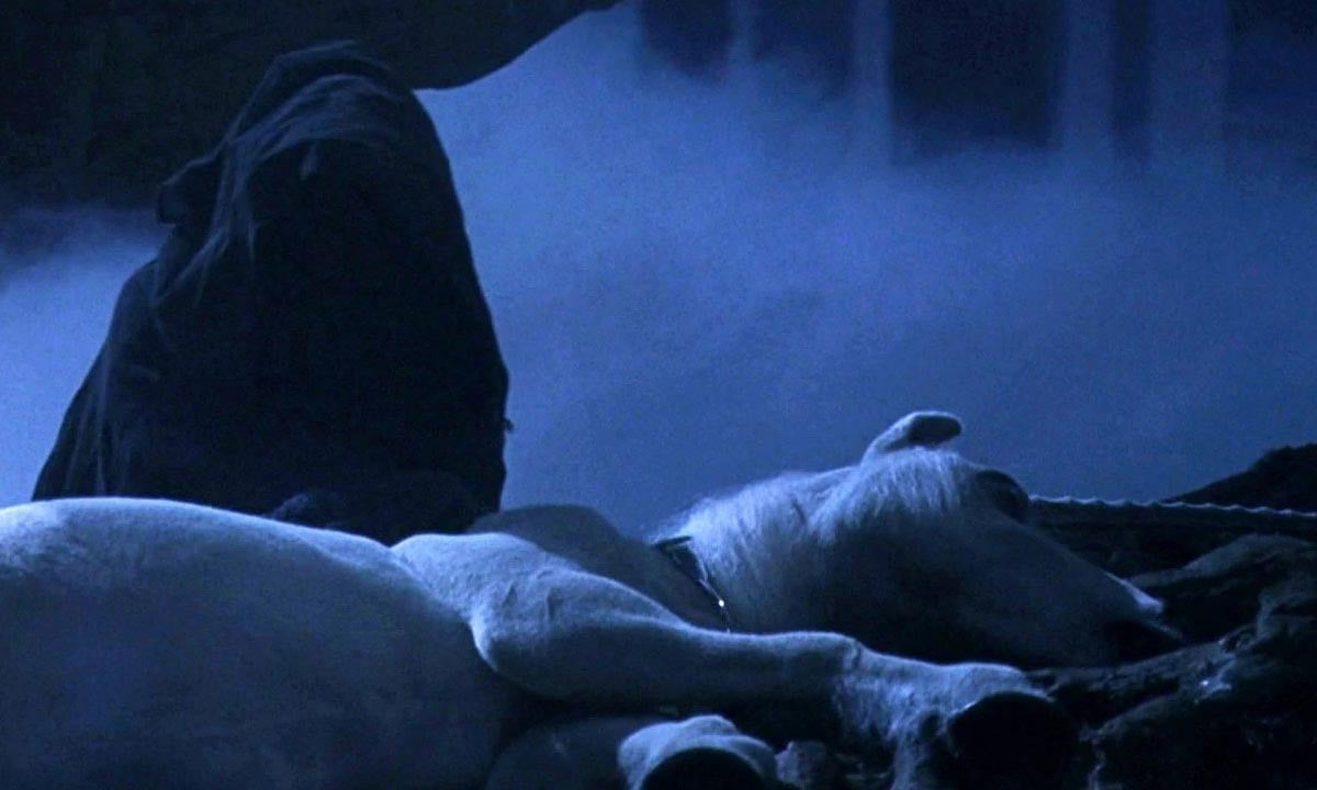 Harry Potter and the Sorcerer’s Stone