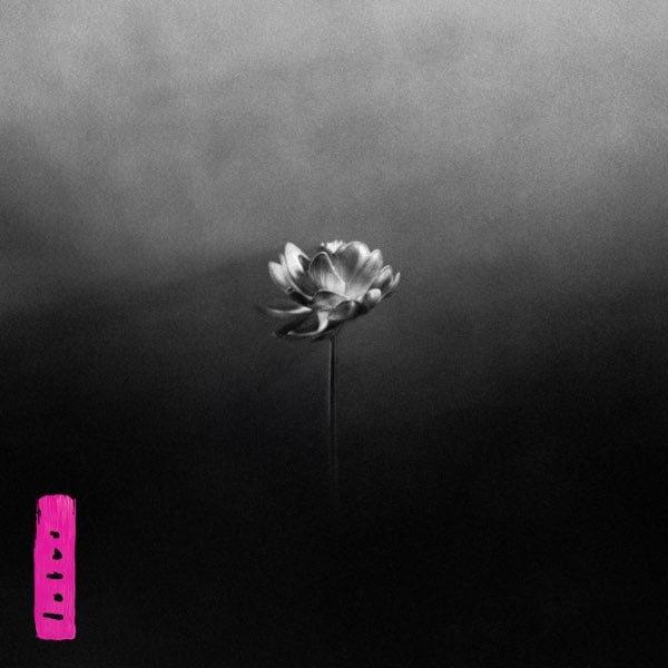Little Simz, Lotus