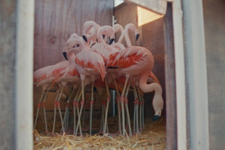 Collective Monologue