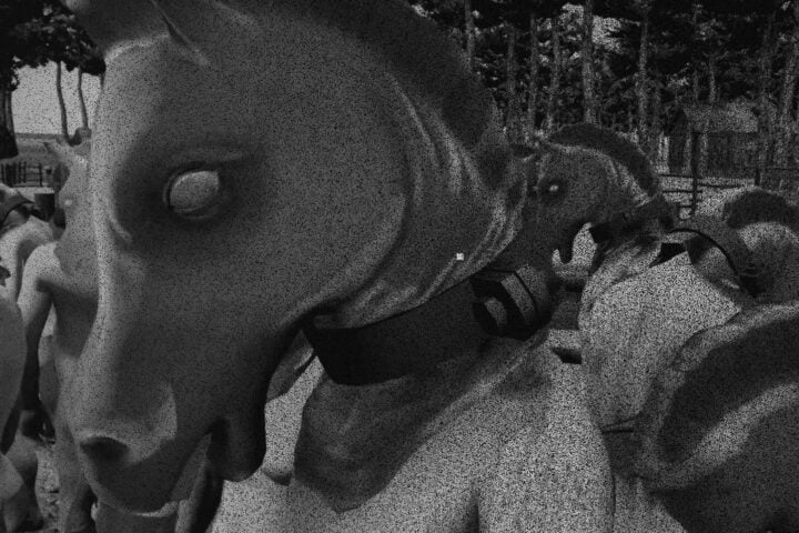 Horses