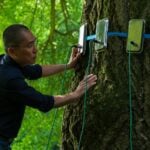 Tony Leung on 'Silent Friend' and Expanding His Understanding of Consciousness