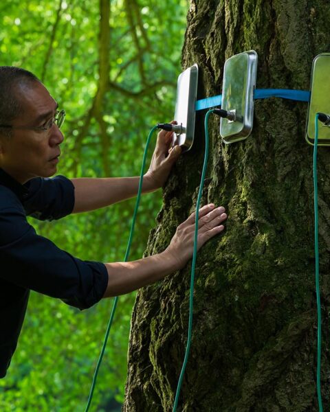 Tony Leung on 'Silent Friend' and Expanding His Understanding of Consciousness