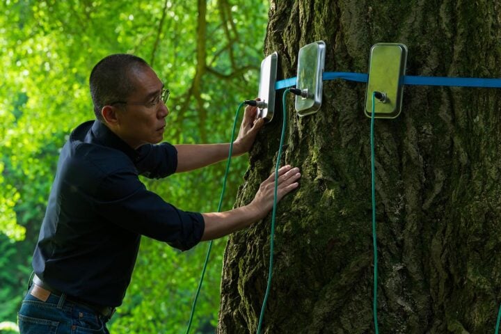 Tony Leung on 'Silent Friend' and Expanding His Understanding of Consciousness