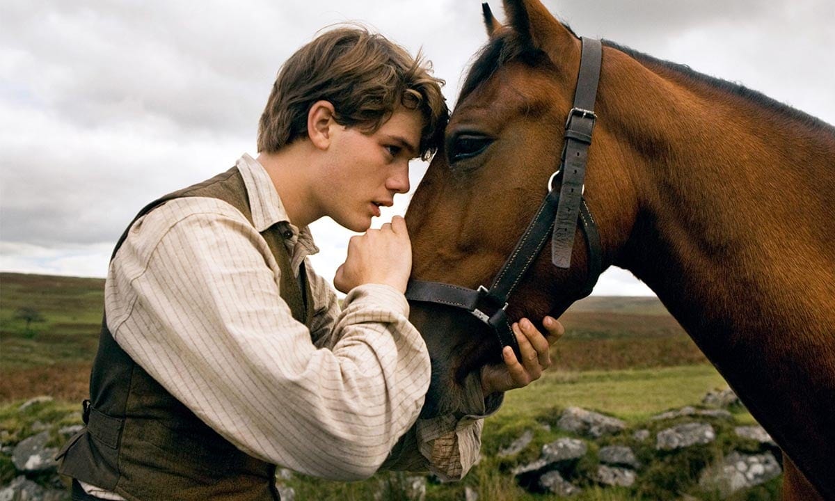 War Horse