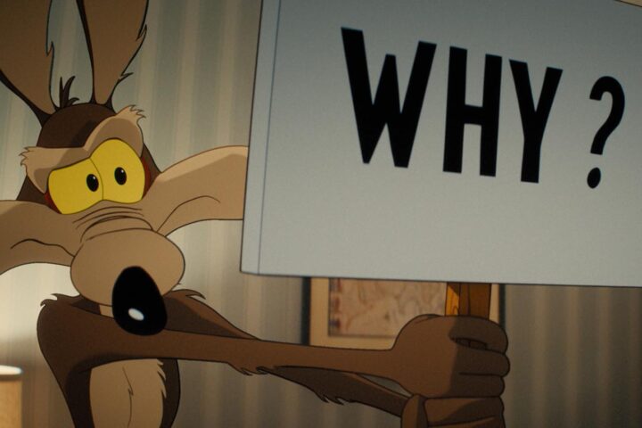 Coyote vs. Acme