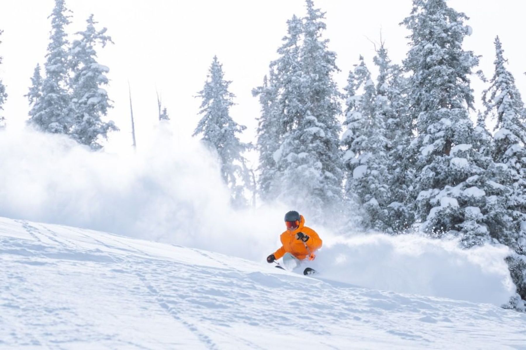 Aspen Ski Resort 2024 Review - Slope Magazine
