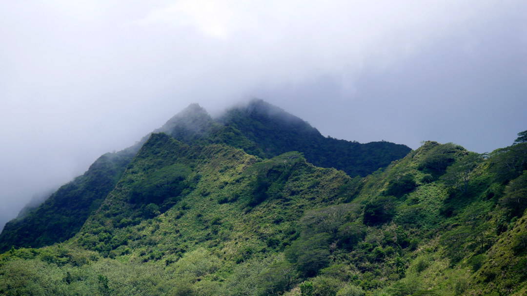 Fog over a mountain top in Moorea