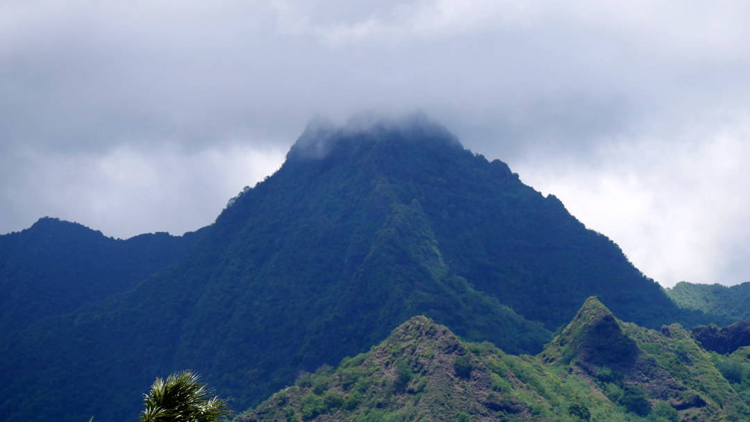 Fog on the top of a mountain in Moorea