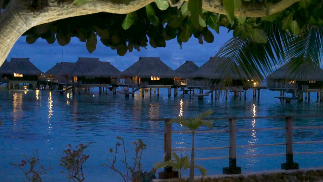 Night blue sky of water bungalows through the trees in Moorea