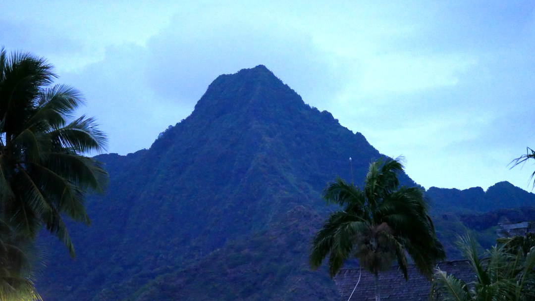 Mountain top with palm trees in forefront