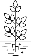 black summer camp icon