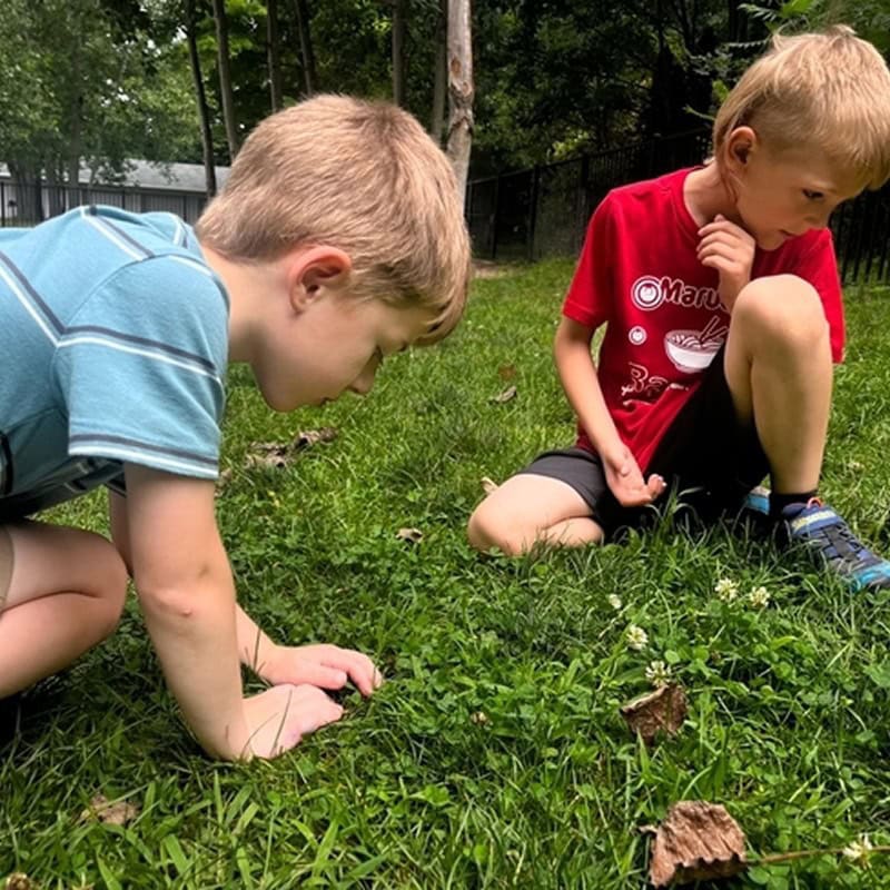 two students searching in the grass