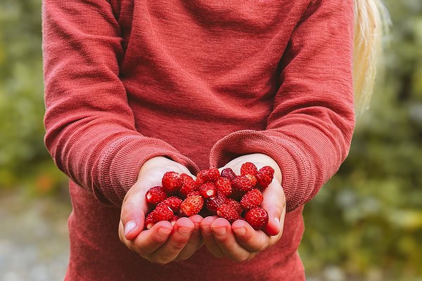young girl holding handful of strawberries