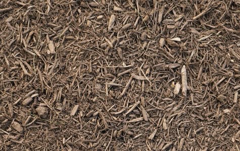 landscape bark