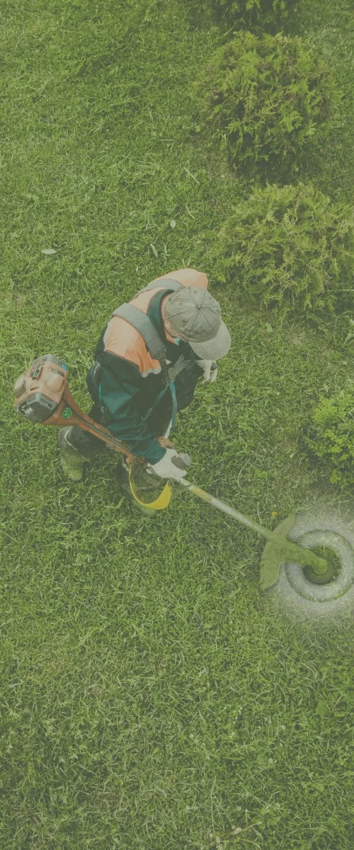 man using a weedwacker