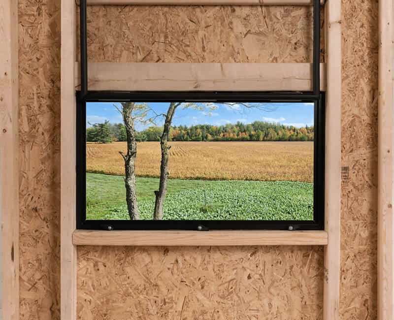 window (1)