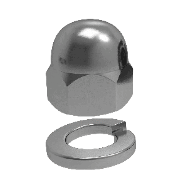 M10 Dome Nut w/Washer SS316 4pk