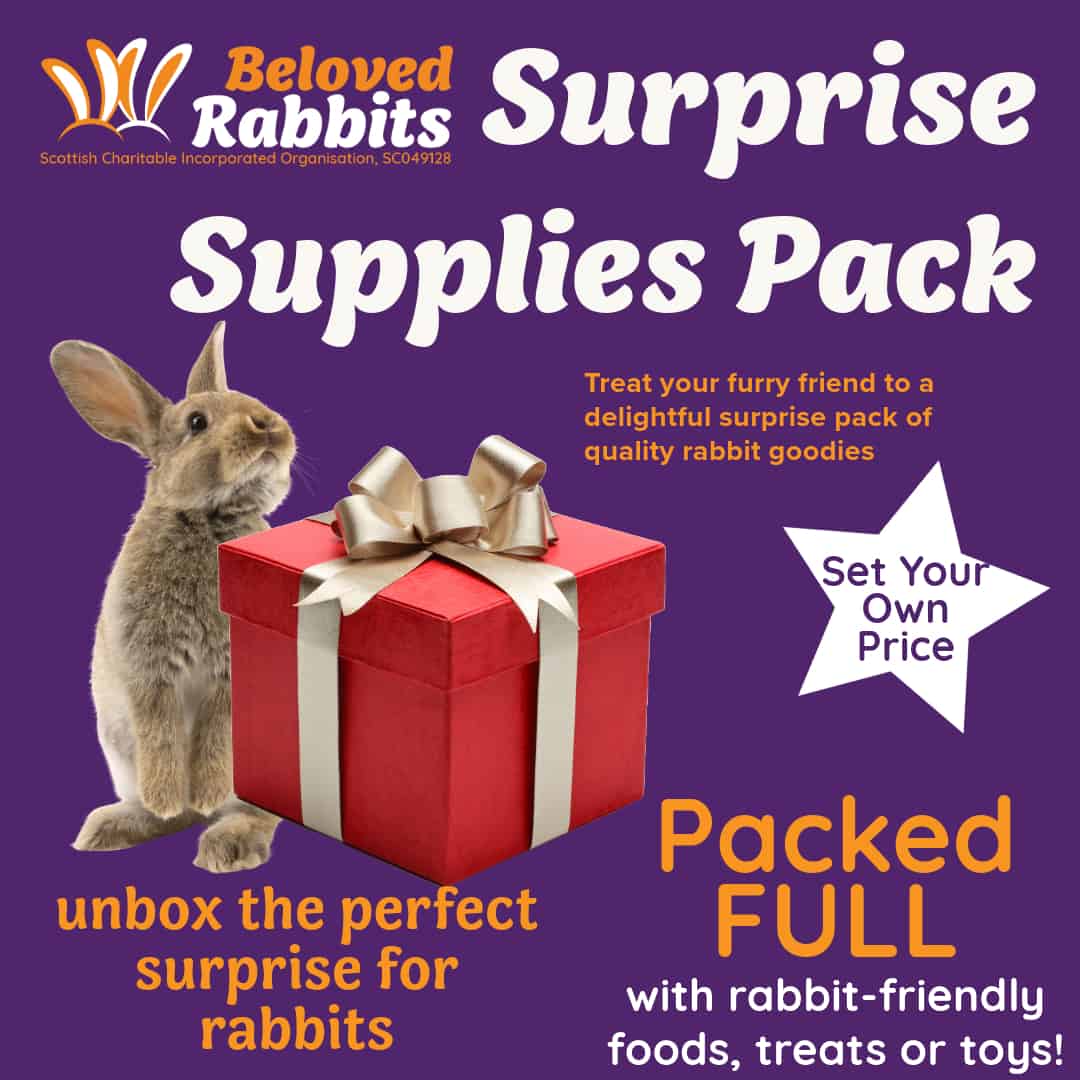 surprise-supplies-pack-beloved-rabbits