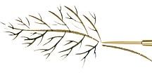 Liner