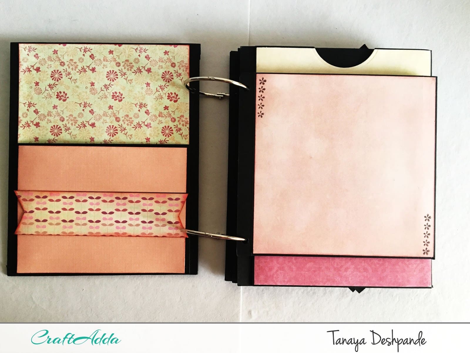 'Tender Feeling' Mini Album by Tanaya 3