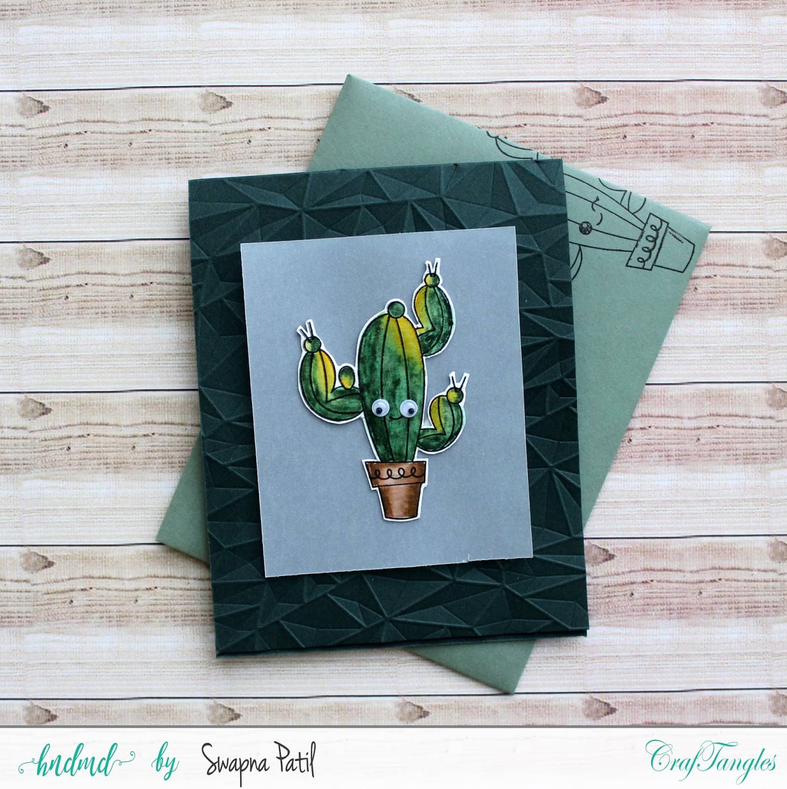 Succulents by Swapna 2