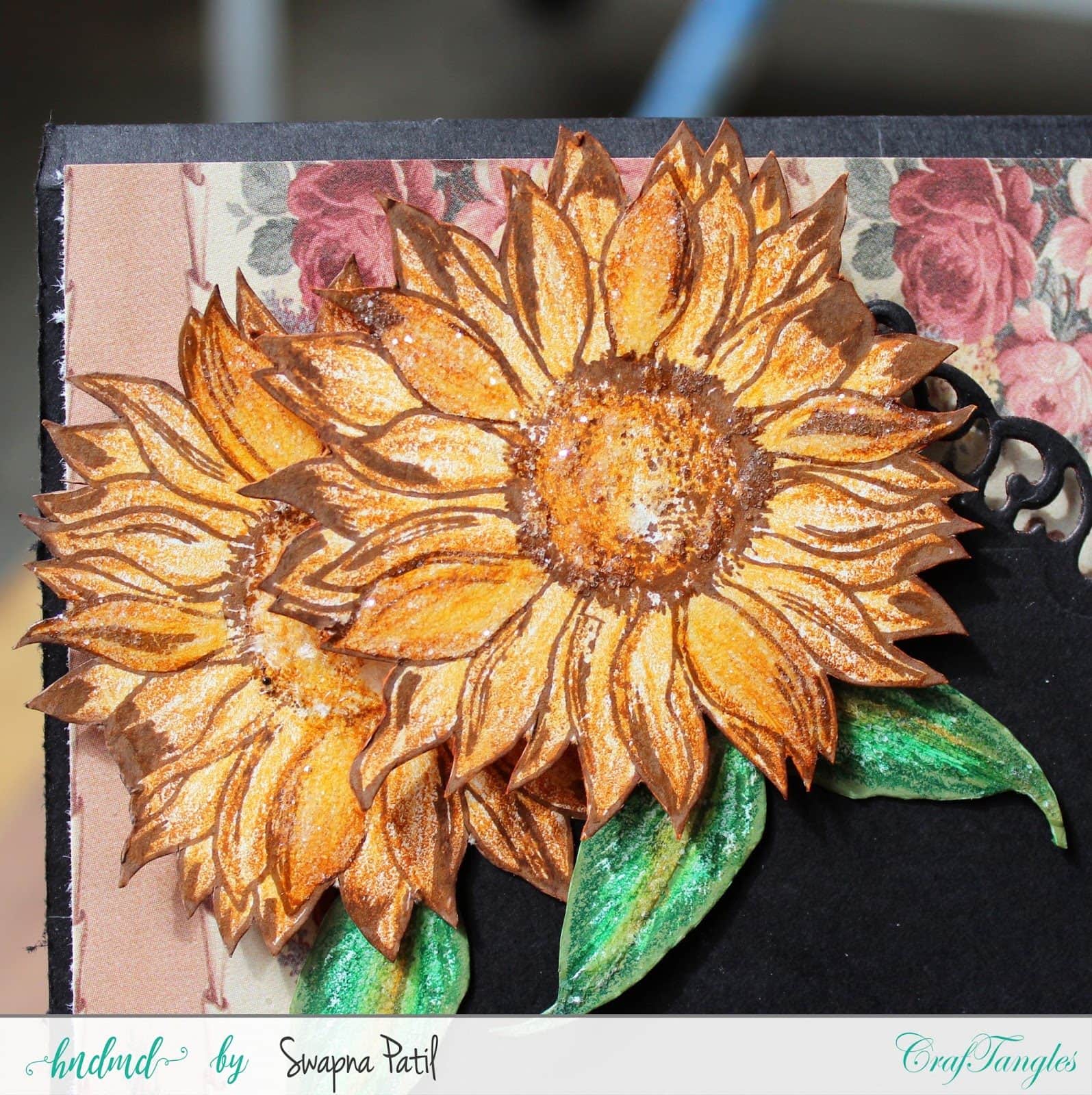 img_11442bcopy-2913194