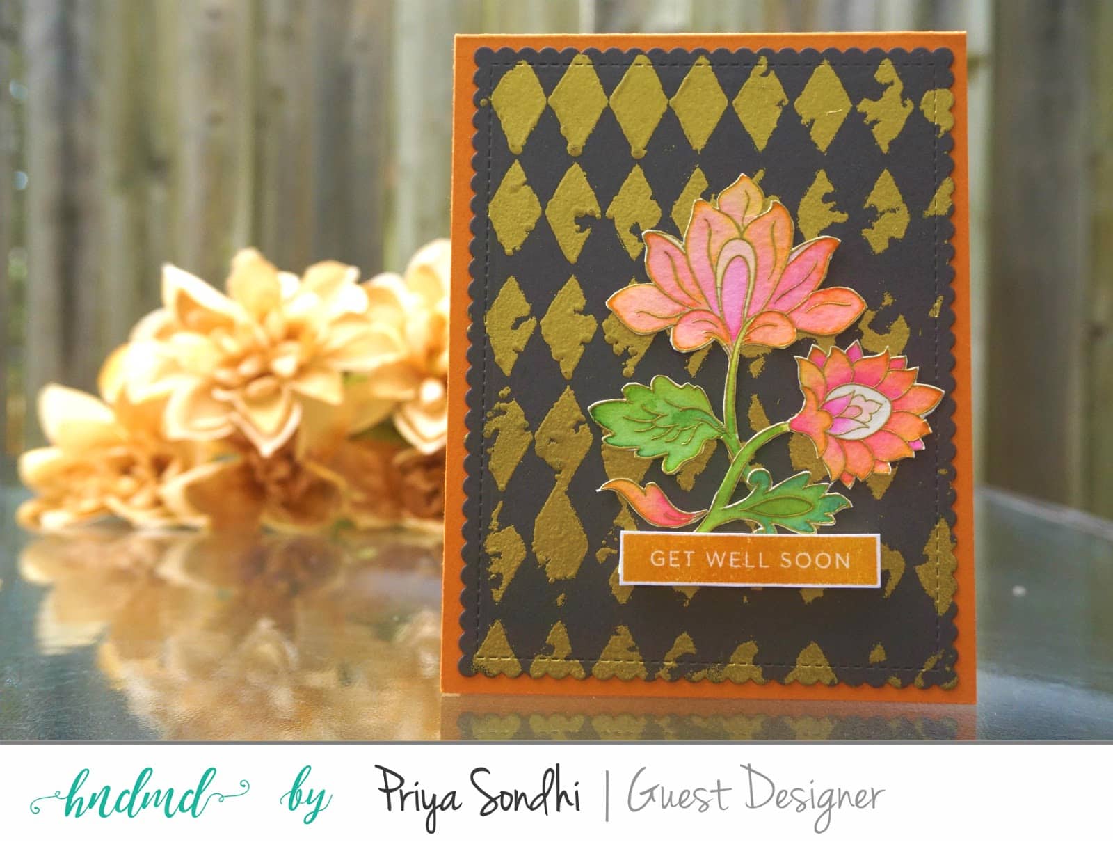 Guest post by Priya Sondhi 4