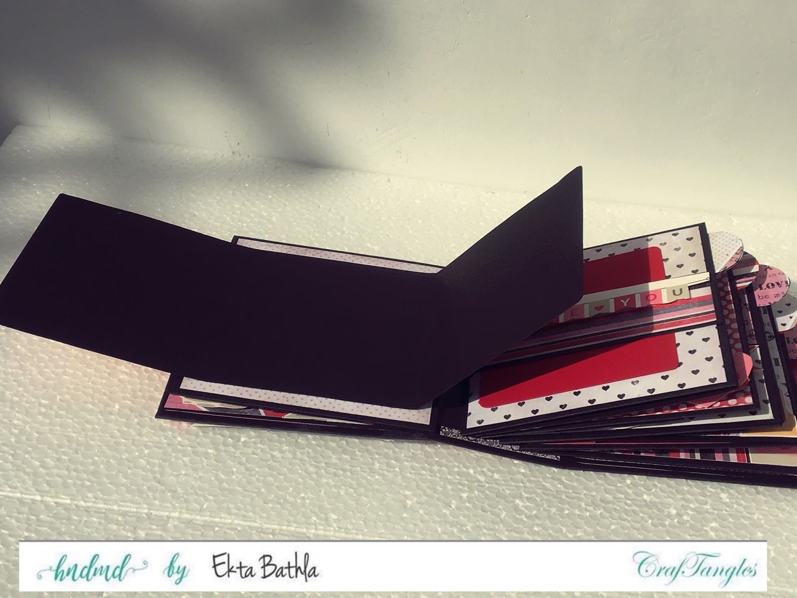 All for Love Album by Ekta Bathla 10