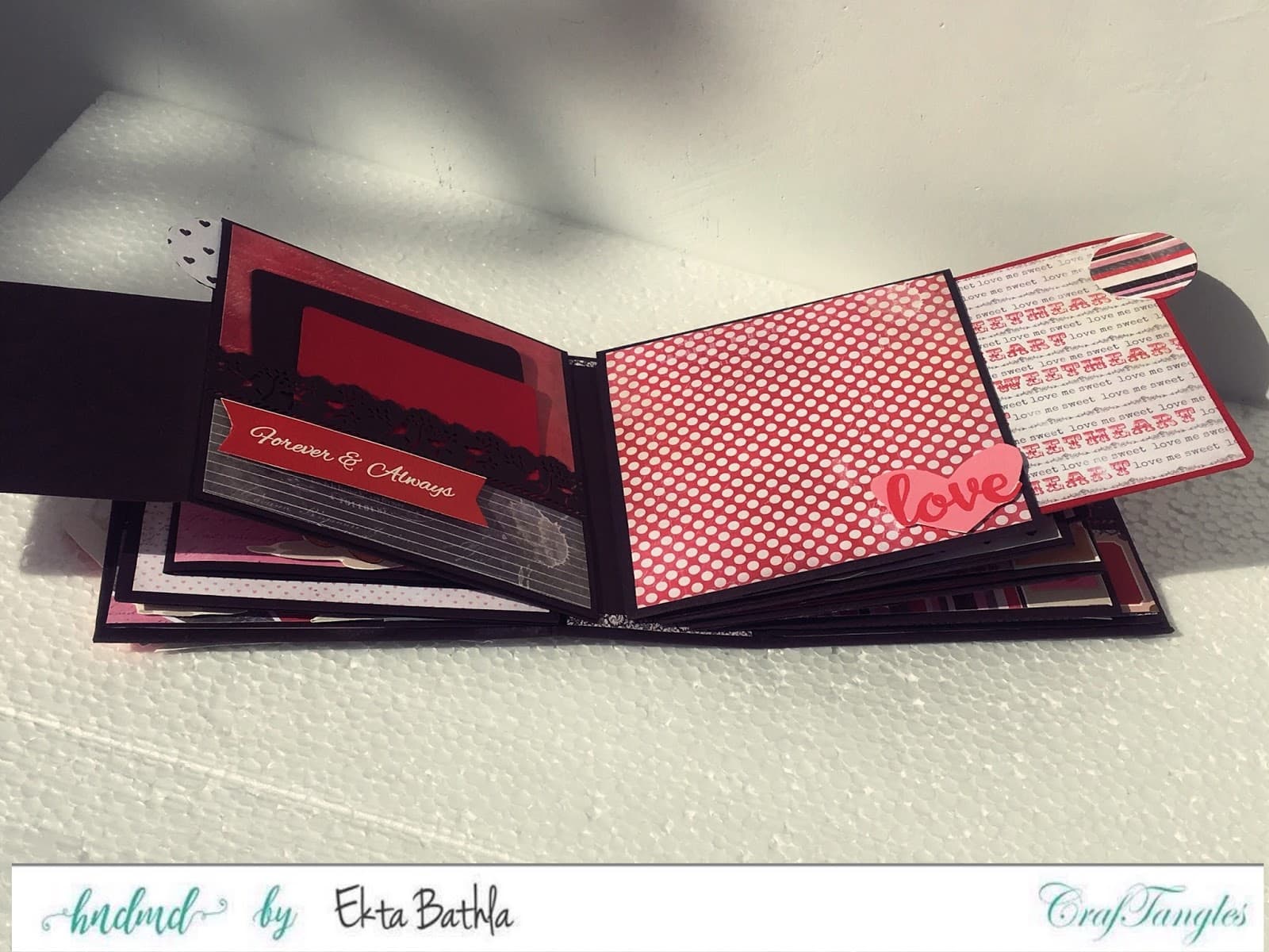 All for Love Album by Ekta Bathla 13
