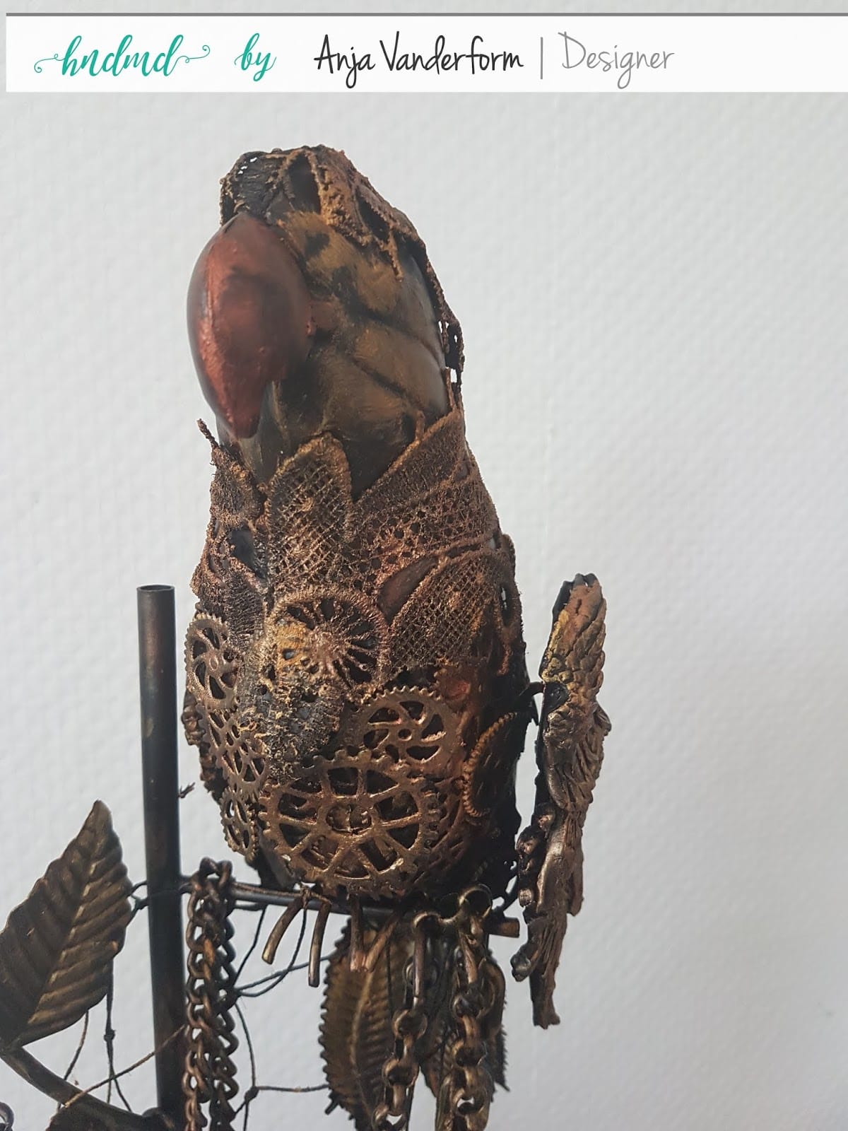 Meet Jack My Alterd Pirate Parrot 3