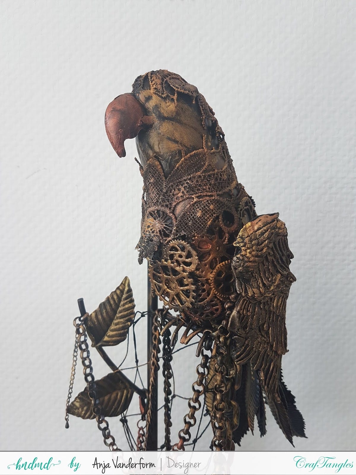 Meet Jack My Alterd Pirate Parrot 4